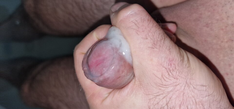 17316984235628851853627786762413.jpg - robin266