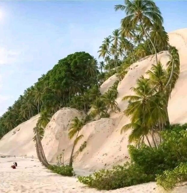 Matka Natura ... - Pafka87