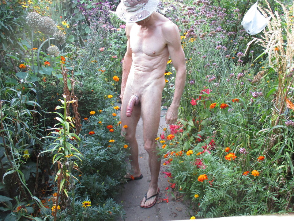 IMG_8472.JPG - gawel35