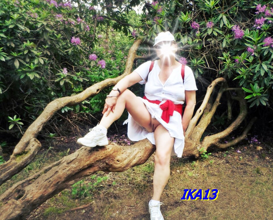 SAM_1323b.JPG - ika13