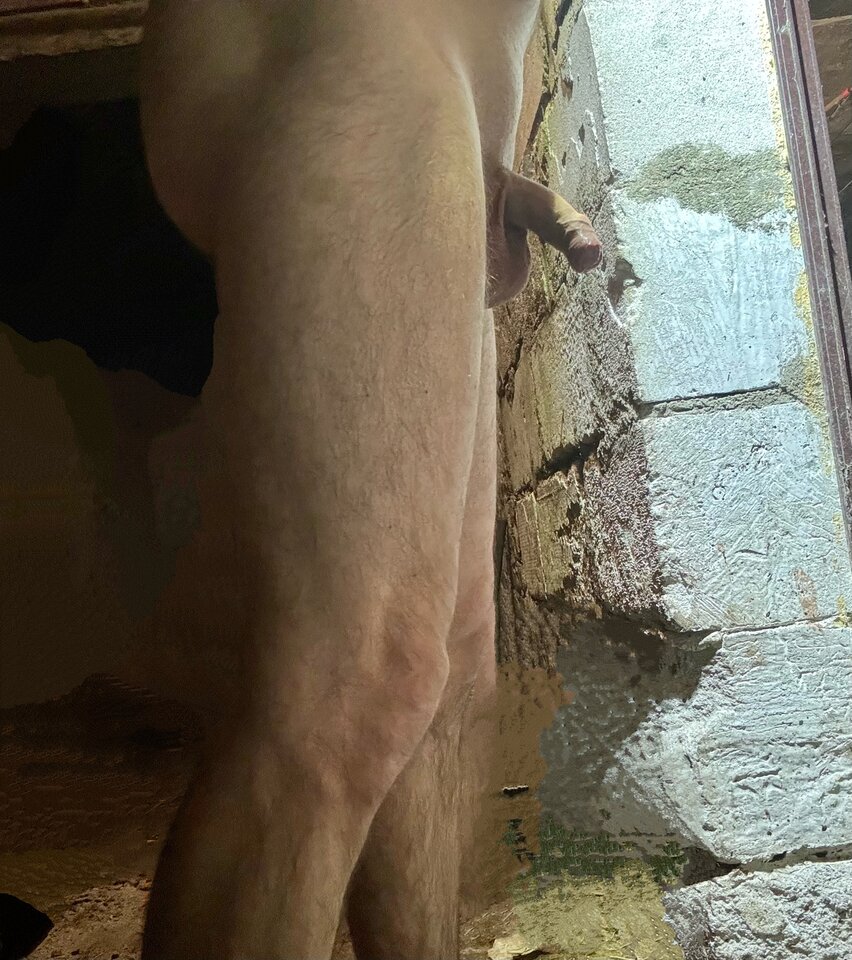 IMG_3895 Copy.jpeg - miki842