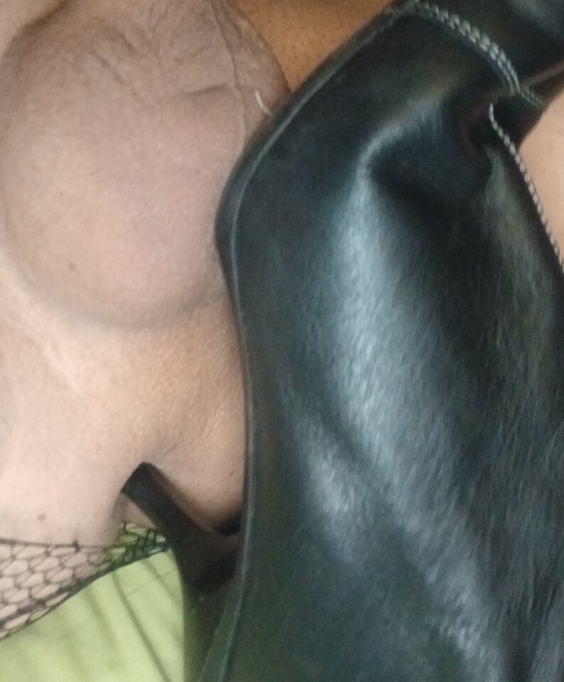 1000004782.jpg - Transpola