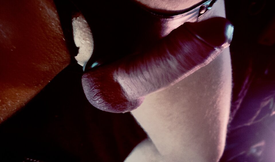 IMG_5078.jpeg - TwardyHary69