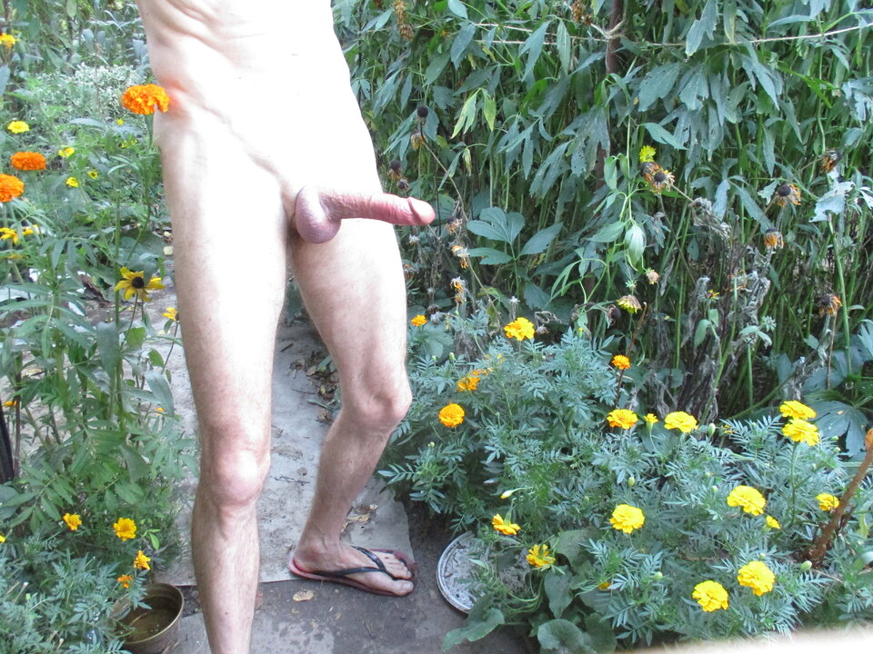 IMG_8484.JPG - gawel35