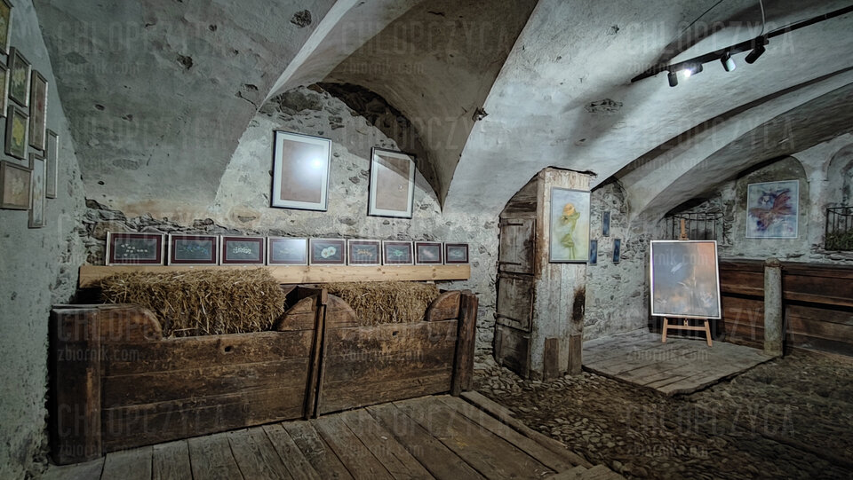 IMG_20240822_152445.jpg - chlopczyca