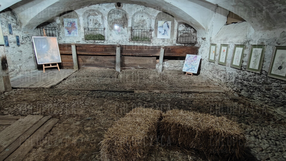 IMG_20240822_152459.jpg - chlopczyca