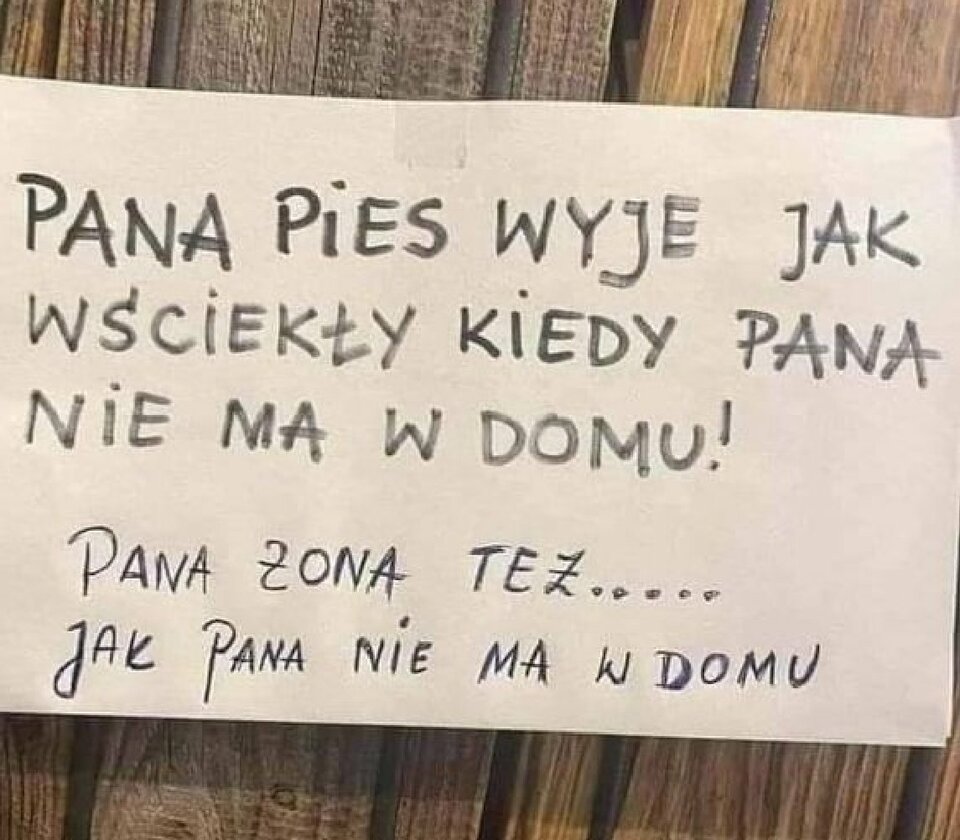 pies 1 .jpg - kocurekAndy