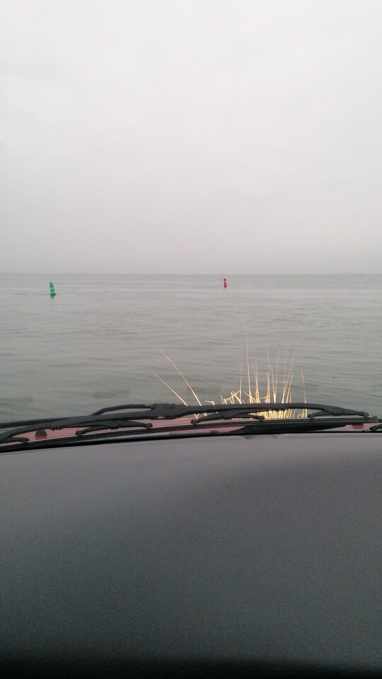 IMG-20241101-WA0004.jpeg - Ciekawyspotkan39