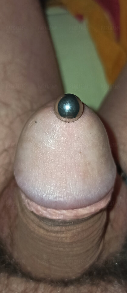 IMG_20241119_013359.jpg - parka7369