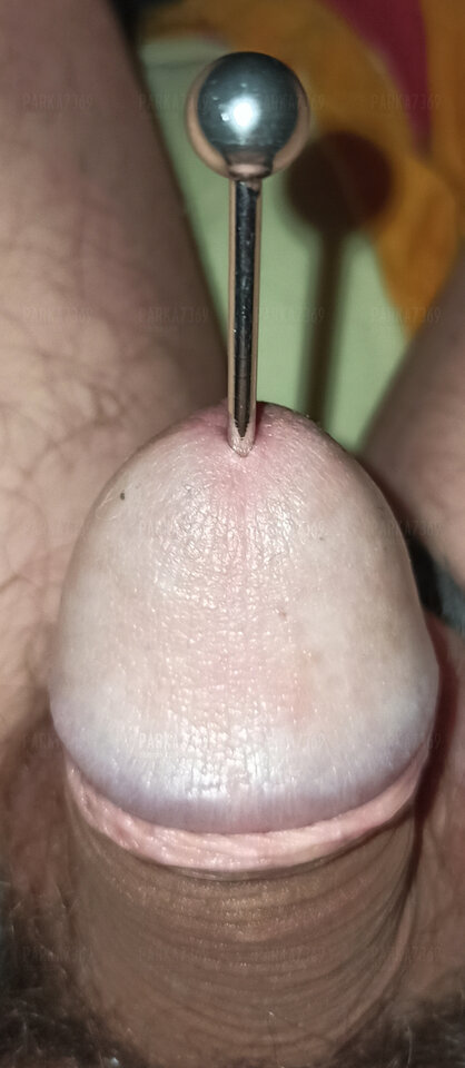 IMG_20241119_013256.jpg - parka7369