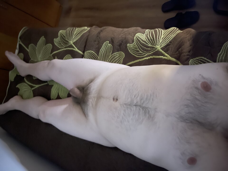 IMG_1682.jpg - kufel1982