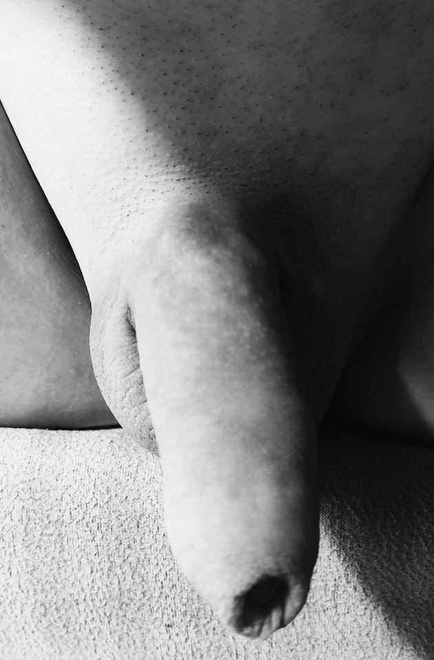 1000043704.jpg - SafeAndSnipped