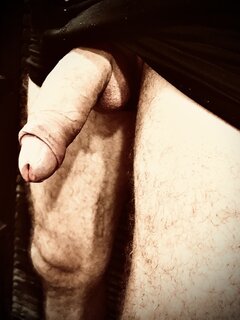IMG_2393.jpeg