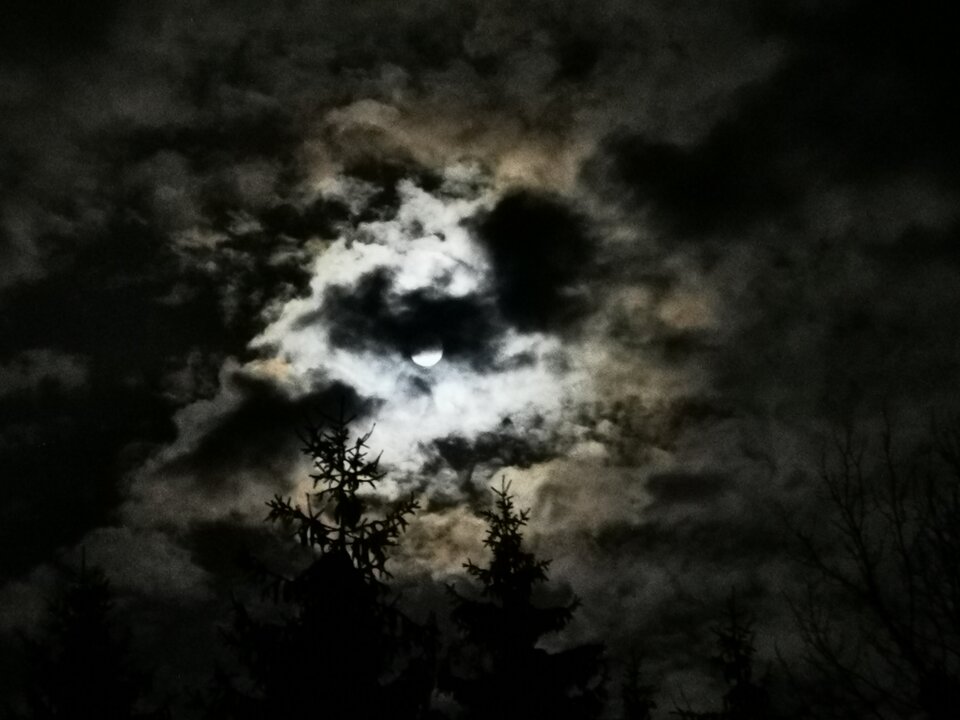 IMG_20241115_195123.jpg - Miniek234