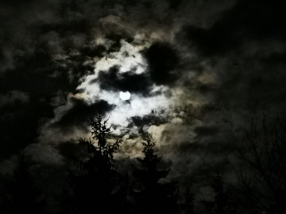 IMG_20241115_195120.jpg - Miniek234