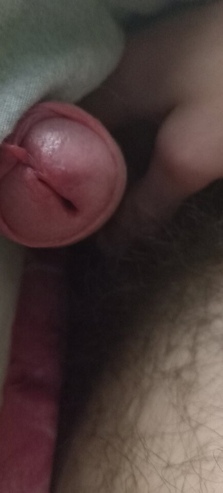 1000008207.jpg - Dami870