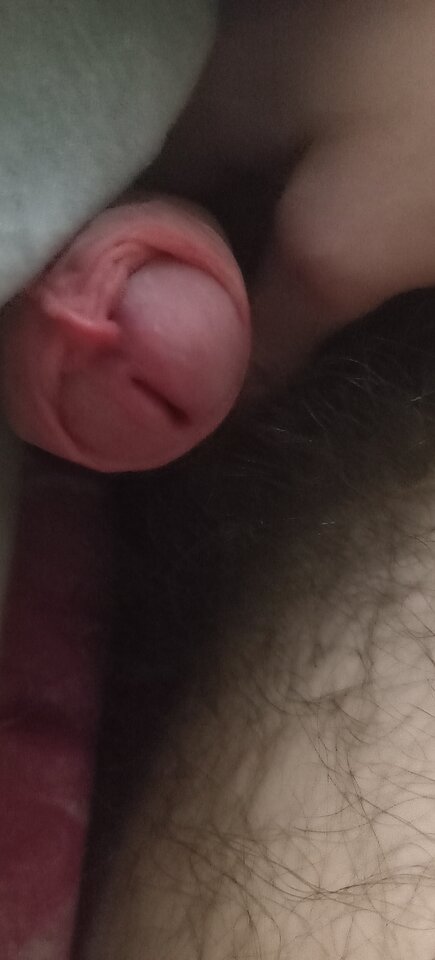 1000008206.jpg - Dami870