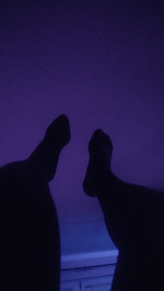 🙃 - KamilaTrap