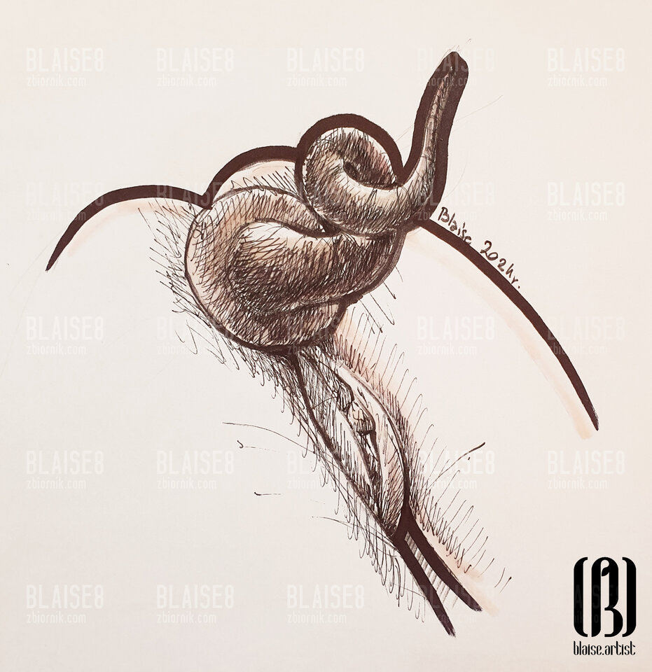 Art. No. 301 - blaise8