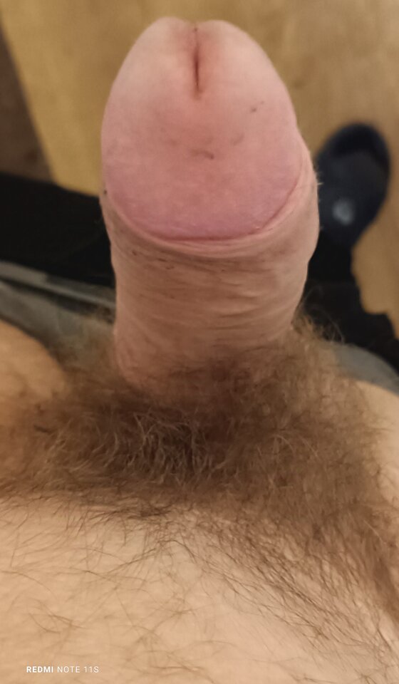 IMG_20241121_075351.jpg - pldarek