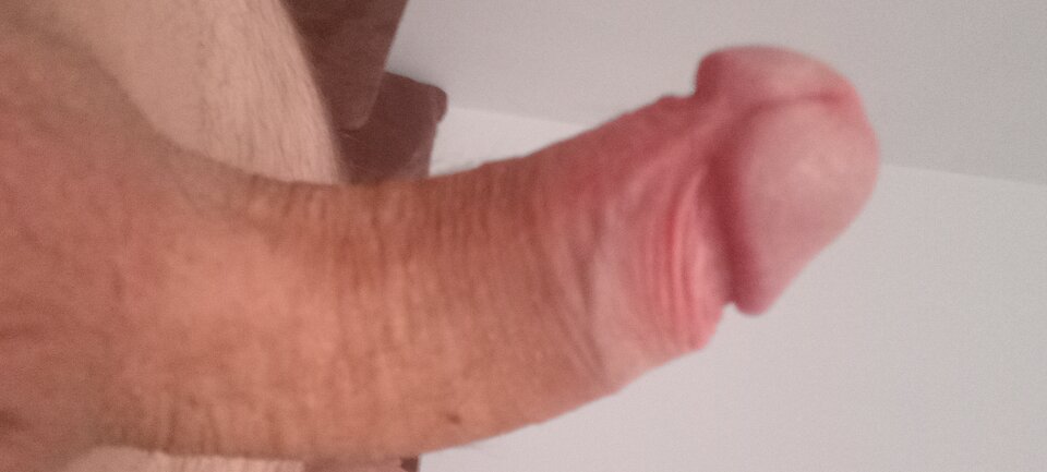 20241121_075203.jpg - Miluskikotek