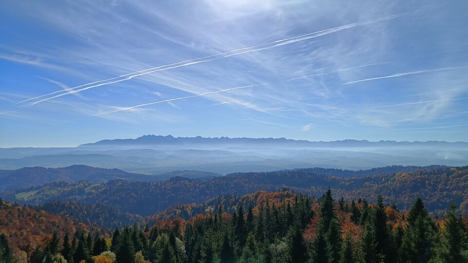 IMG_20241021_130153569.jpg - mpty123