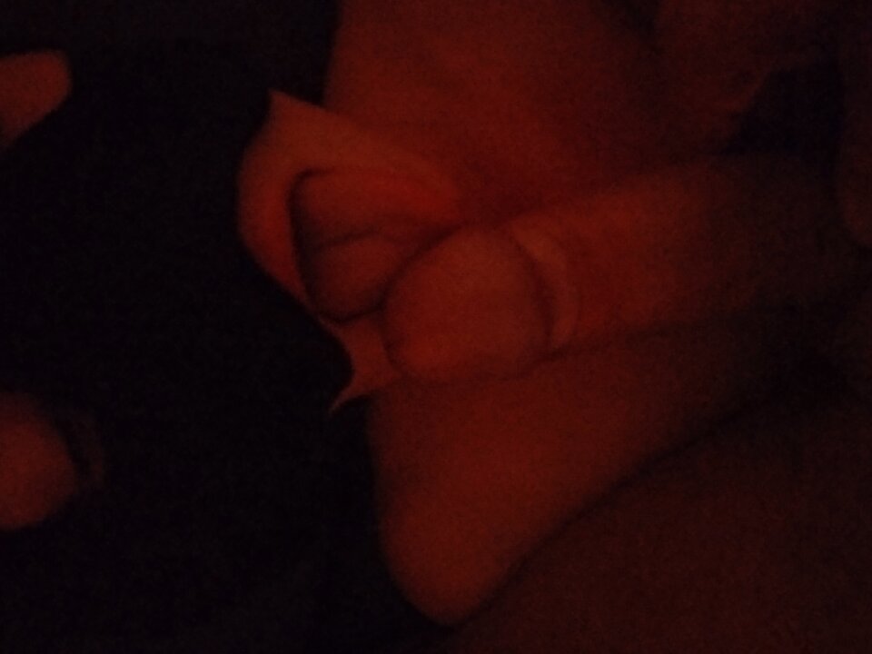 IMG_20241121_131224.jpg - paraak10