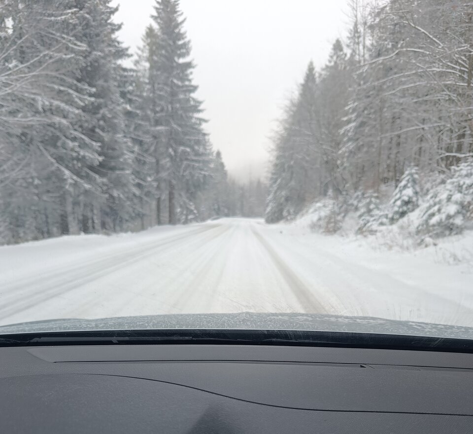 IMG_20241121_153126.jpg - 19Kasia75