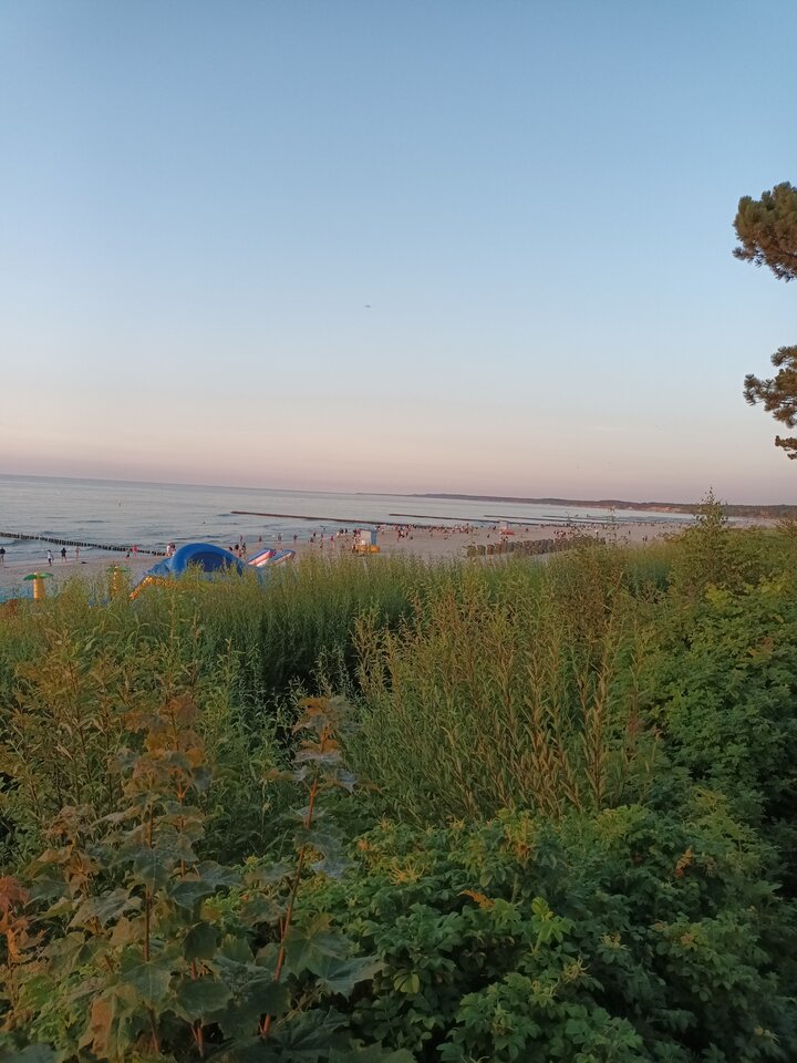 20240723_204546.jpg - MarMaG2024