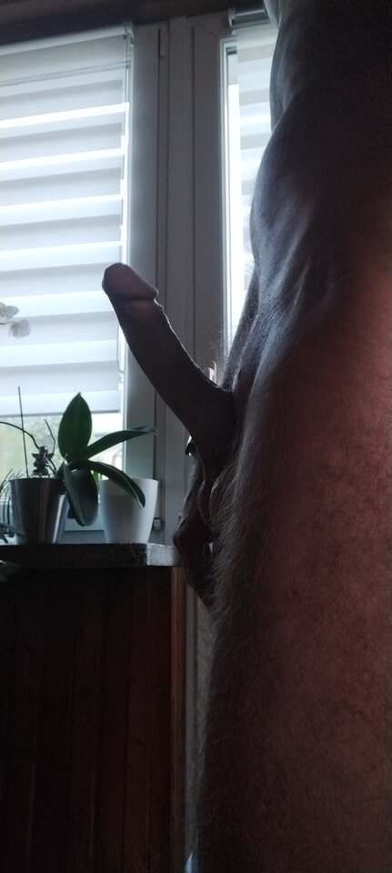 IMG_20240806_055739.jpg - benek29