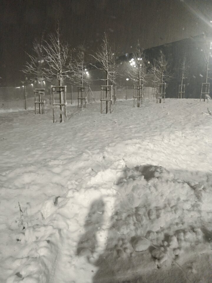 IMG_20241122_053133.jpg - Piter4419