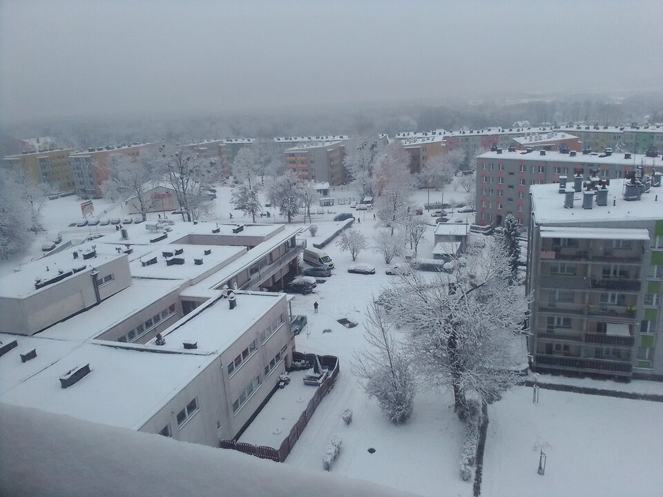 IMG_20241122_074040.jpg - Thorgal1608