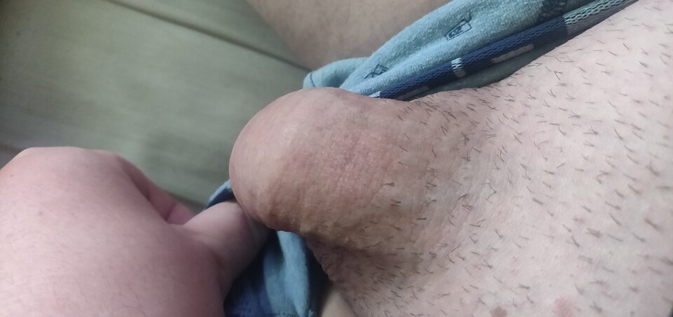 IMG_20241122_123659.jpg - fajnykutasek25