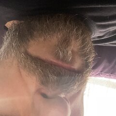 IMG_3495.jpeg