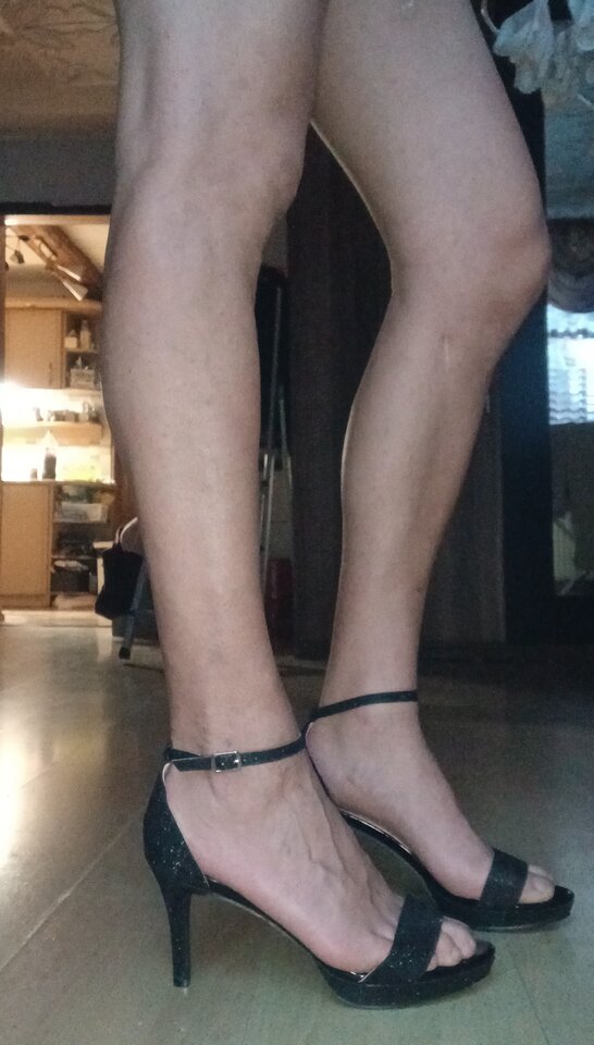 1000004991.jpg - Transpola