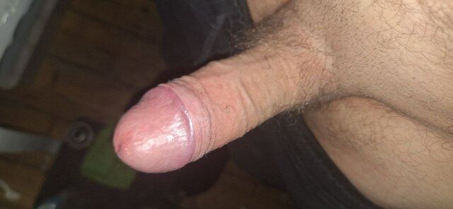 Seahorse83