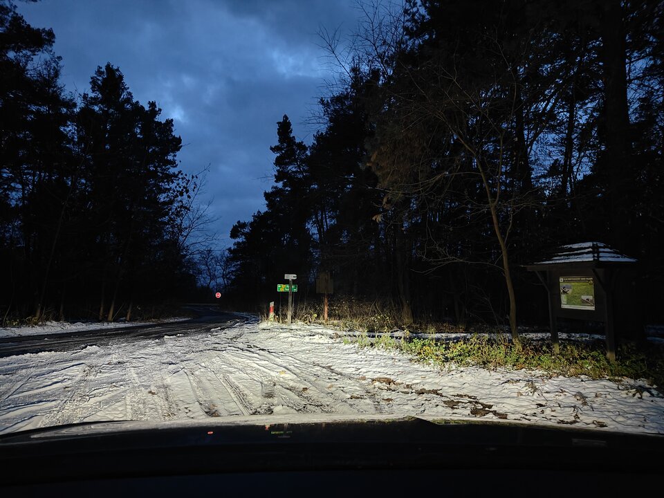 1000011383.jpg - foreignslave