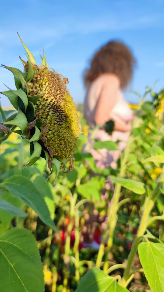 1732382235828.jpg - jaiwenus