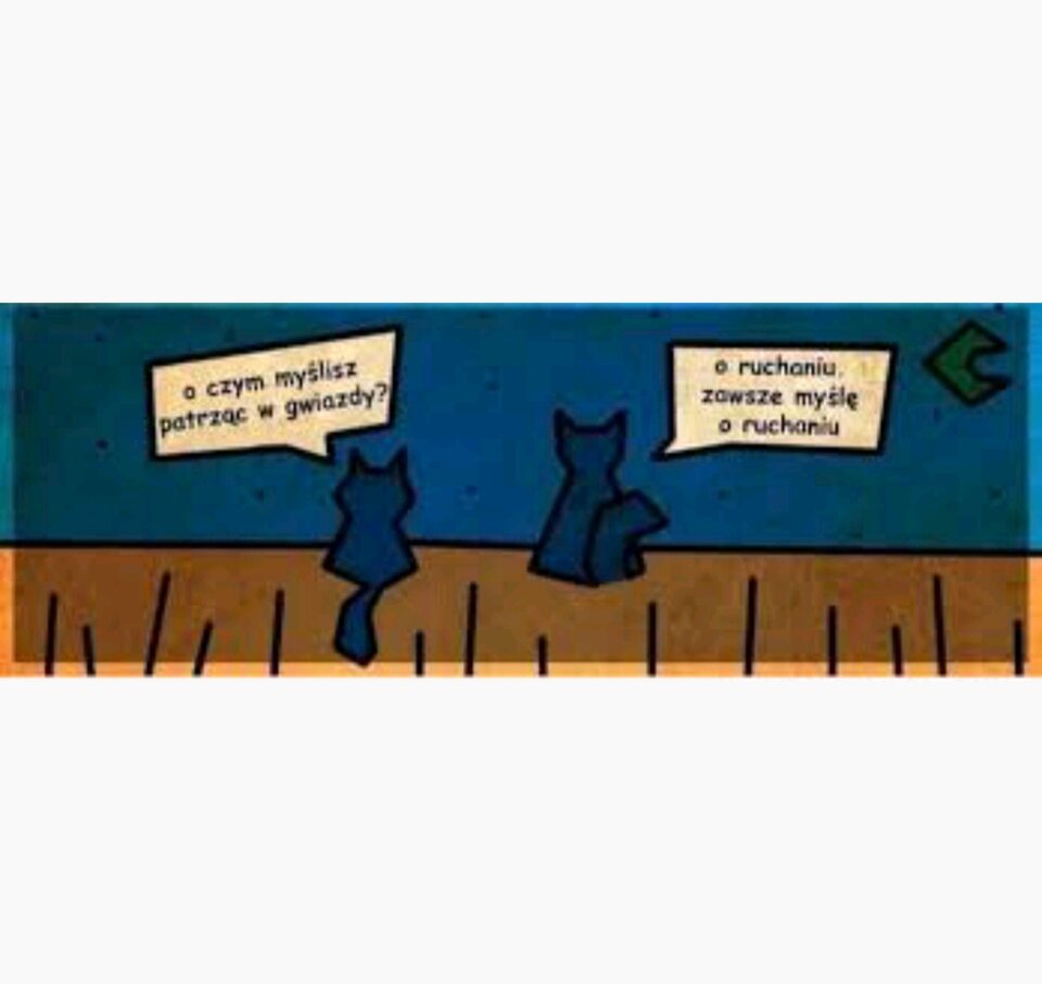 1000026825.jpg - SpodnieiMiniParka7175