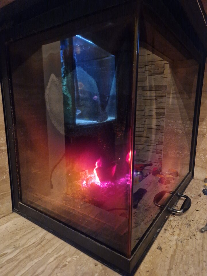 1000013160.jpg - Para40Lodz