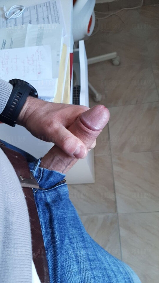 IMG_20241118_143015.jpg - bull869