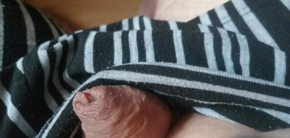 IMG_20241122_111749.jpg - uwielbiamfantazie