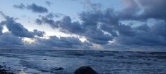 IMG_20241123_160156.jpg