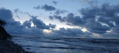 IMG_20241123_160215.jpg