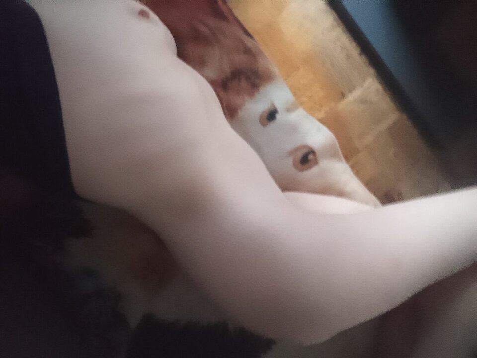 1000010684.jpg - eweto