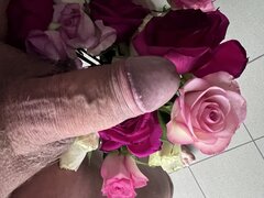 IMG_5815.jpeg