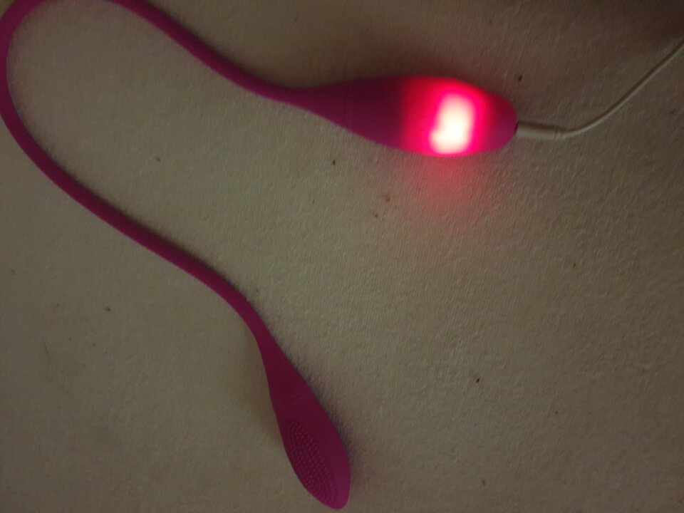 20241118_221553.jpg - AnMich3