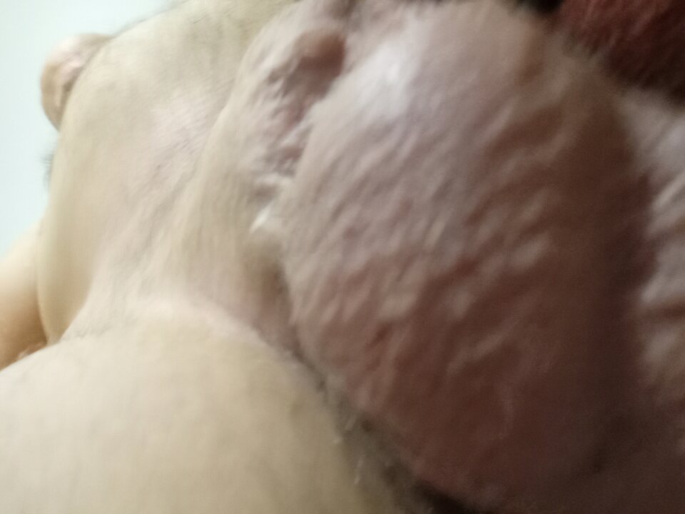 1000025464.jpg - Josephi