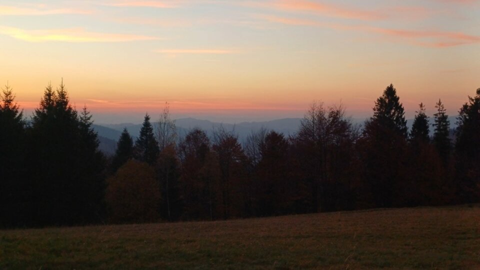 1000017364.jpg - nagig82