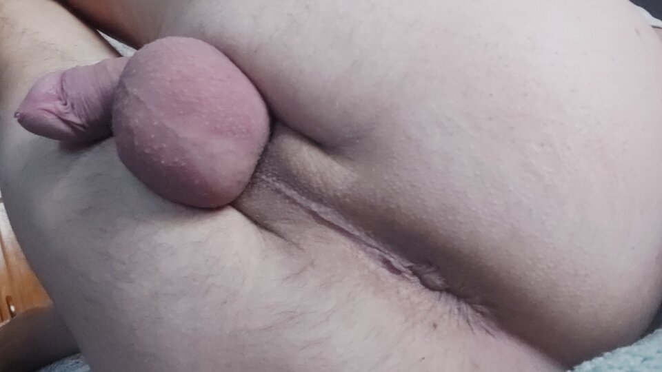 17325301583936448942225547495567.jpg - Max791Ruda